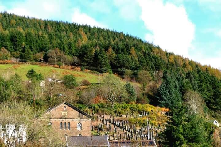Pontrhydyfen Selah Cottage, 21 Queen Street חדר תמונה