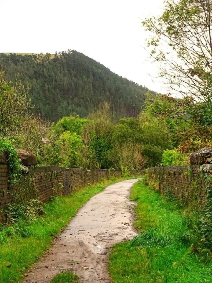 Pontrhydyfen Selah Cottage, 21 Queen Street חדר תמונה
